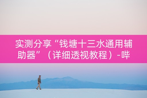 实测分享“钱塘十三水通用辅助器”（详细透视教程）-哔哩哔哩