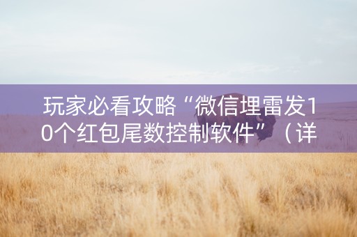 玩家必看攻略“微信埋雷发10个红包尾数控制软件”（详细透视教程）-哔哩哔哩