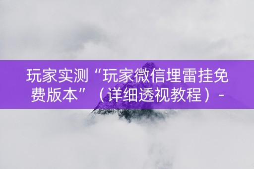 玩家实测“玩家微信埋雷挂免费版本”（详细透视教程）-哔哩哔哩