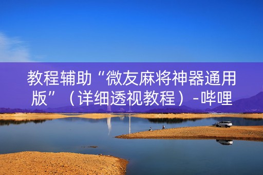 教程辅助“微友麻将神器通用版”（详细透视教程）-哔哩哔哩
