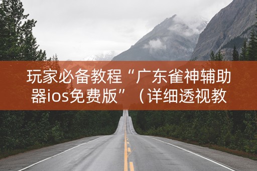 玩家必备教程“广东雀神辅助器ios免费版”（详细透视教程）-哔哩哔哩