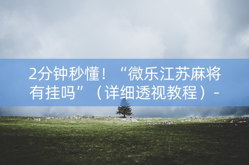 2分钟秒懂！“微乐江苏麻将有挂吗”（详细透视教程）-哔哩哔哩