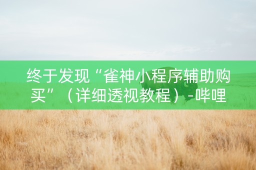 终于发现“雀神小程序辅助购买”（详细透视教程）-哔哩哔哩