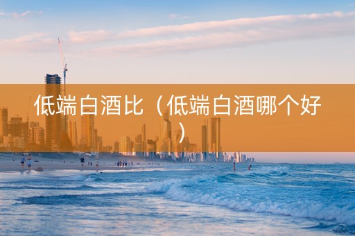 低端白酒比（低端白酒哪个好）