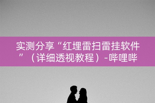 实测分享“红埋雷扫雷挂软件”（详细透视教程）-哔哩哔哩