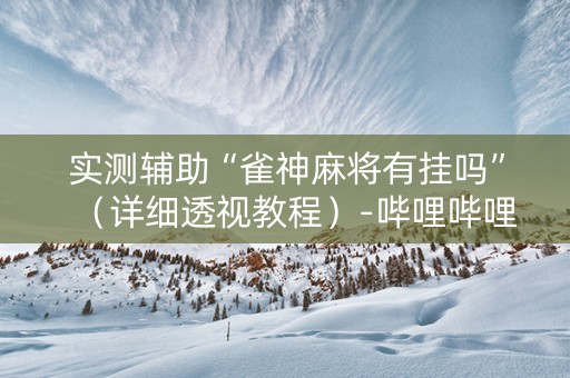 实测辅助“雀神麻将有挂吗”（详细透视教程）-哔哩哔哩
