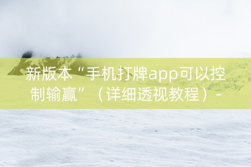 新版本“手机打牌app可以控制输赢”（详细透视教程）-哔哩哔哩