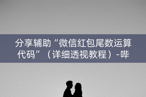 分享辅助“微信红包尾数运算代码”（详细透视教程）-哔哩哔哩