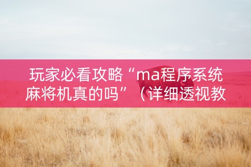 玩家必看攻略“ma程序系统麻将机真的吗”（详细透视教程）-哔哩哔哩