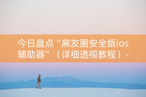 今日盘点“麻友圈安全版ios辅助器”（详细透视教程）-哔哩哔哩