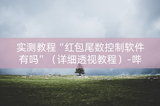 实测教程“红包尾数控制软件有吗”（详细透视教程）-哔哩哔哩