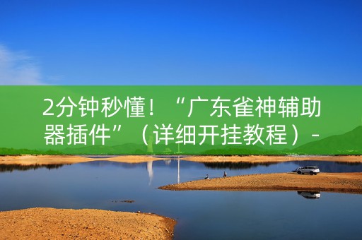 2分钟秒懂！“广东雀神辅助器插件”（详细开挂教程）-哔哩哔哩