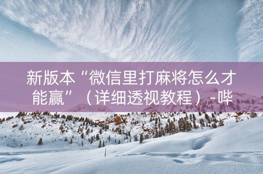 新版本“微信里打麻将怎么才能赢”（详细透视教程）-哔哩哔哩