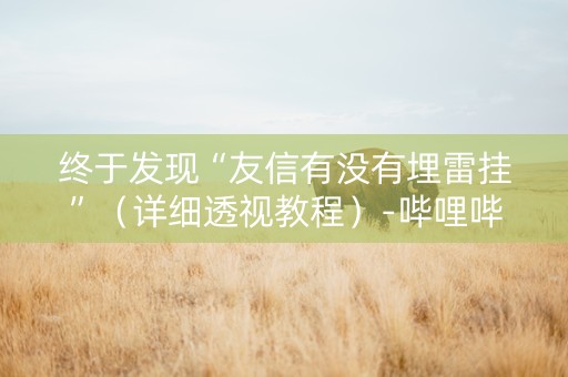 终于发现“友信有没有埋雷挂”（详细透视教程）-哔哩哔哩
