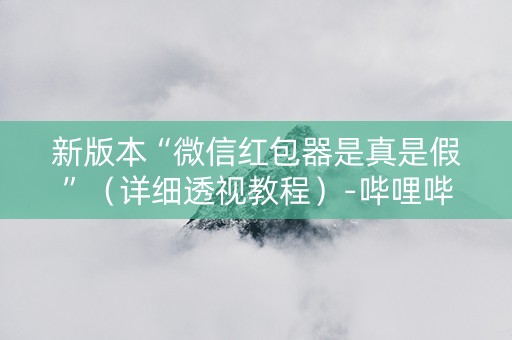 新版本“微信红包器是真是假”（详细透视教程）-哔哩哔哩