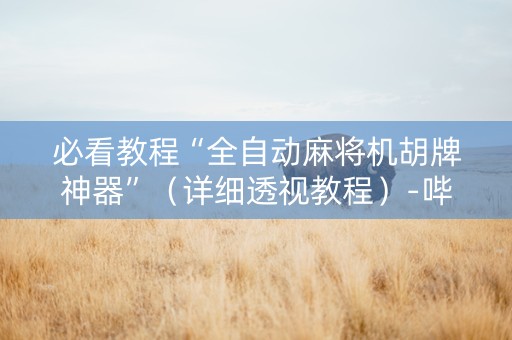 必看教程“全自动麻将机胡牌神器”（详细透视教程）-哔哩哔哩
