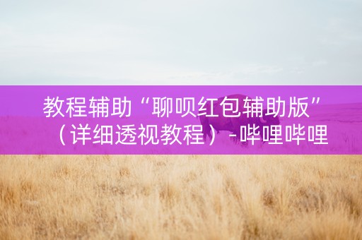 教程辅助“聊呗红包辅助版”（详细透视教程）-哔哩哔哩