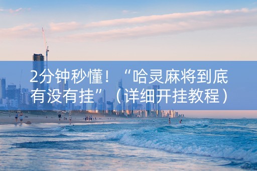2分钟秒懂！“哈灵麻将到底有没有挂”（详细开挂教程）-哔哩哔哩