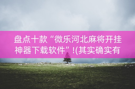 盘点十款“微乐河北麻将开挂神器下载软件”!(其实确实有挂)-知乎