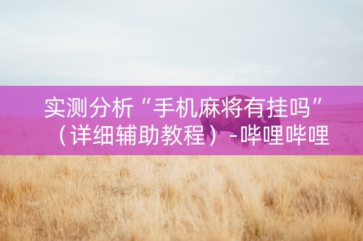 实测分析“手机麻将有挂吗”（详细辅助教程）-哔哩哔哩