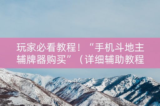 玩家必看教程！“手机斗地主辅牌器购买”（详细辅助教程）-哔哩哔哩