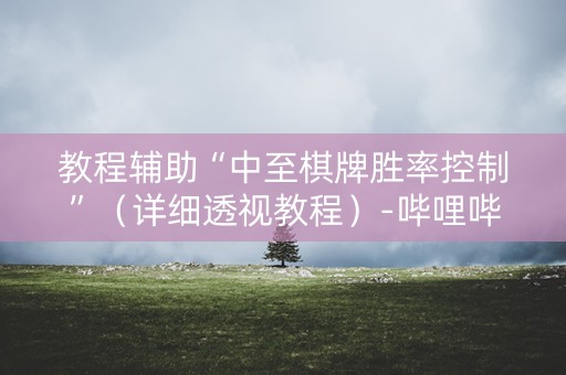 教程辅助“中至棋牌胜率控制”（详细透视教程）-哔哩哔哩