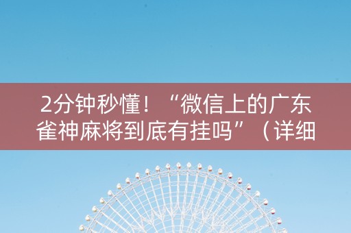 2分钟秒懂！“微信上的广东雀神麻将到底有挂吗”（详细透视教程）-哔哩哔哩