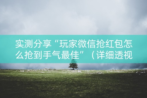 实测分享“玩家微信抢红包怎么抢到手气最佳”（详细透视教程）-哔哩哔哩
