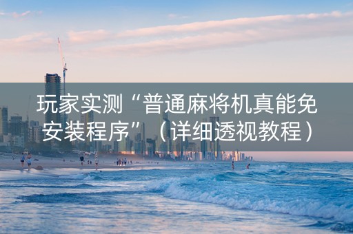 玩家实测“普通麻将机真能免安装程序”（详细透视教程）-哔哩哔哩