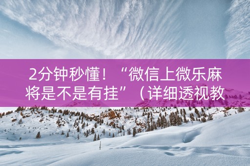 2分钟秒懂！“微信上微乐麻将是不是有挂”（详细透视教程）-哔哩哔哩