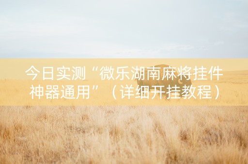 今日实测“微乐湖南麻将挂件神器通用”（详细开挂教程）-哔哩哔哩
