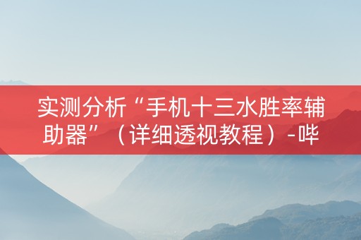 实测分析“手机十三水胜率辅助器”（详细透视教程）-哔哩哔哩