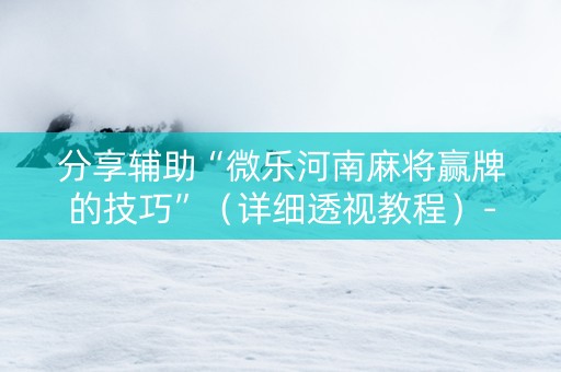 分享辅助“微乐河南麻将赢牌的技巧”（详细透视教程）-哔哩哔哩