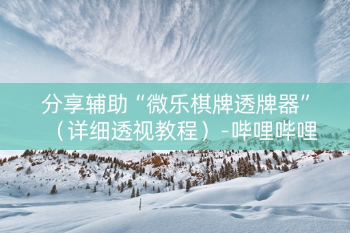 分享辅助“微乐棋牌透牌器”（详细透视教程）-哔哩哔哩