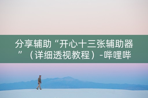 分享辅助“开心十三张辅助器”（详细透视教程）-哔哩哔哩