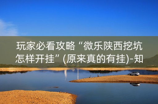 玩家必看攻略“微乐陕西挖坑怎样开挂”(原来真的有挂)-知乎