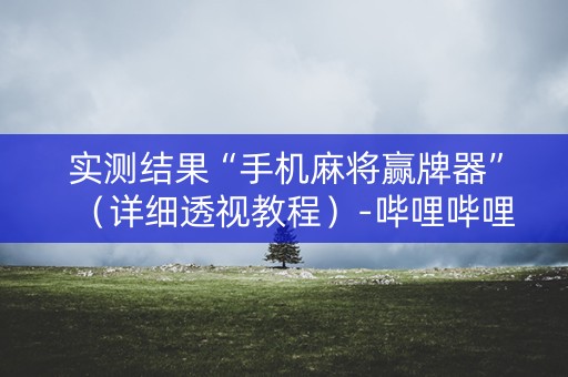 实测结果“手机麻将赢牌器”（详细透视教程）-哔哩哔哩