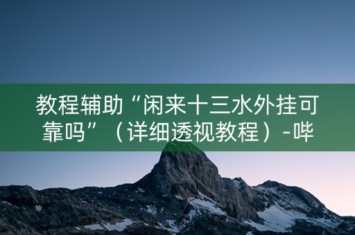 教程辅助“闲来十三水外挂可靠吗”（详细透视教程）-哔哩哔哩