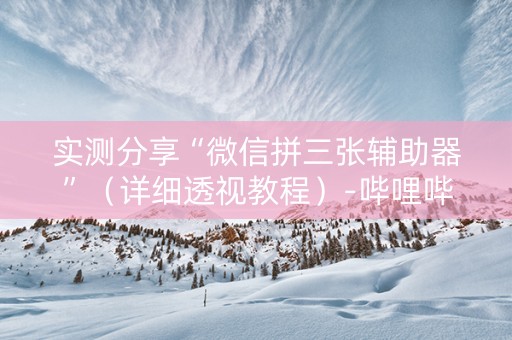 实测分享“微信拼三张辅助器”（详细透视教程）-哔哩哔哩