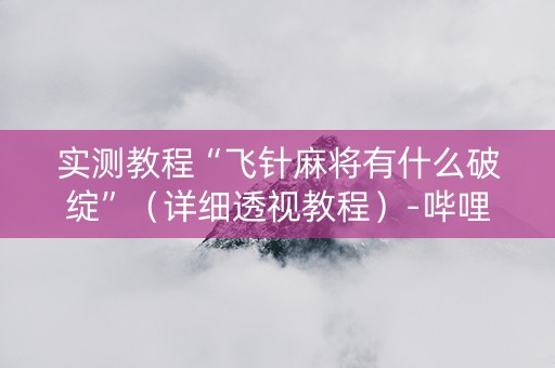 实测教程“飞针麻将有什么破绽”（详细透视教程）-哔哩哔哩