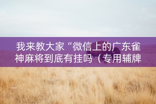 我来教大家“微信上的广东雀神麻将到底有挂吗（专用辅牌神器免安装）