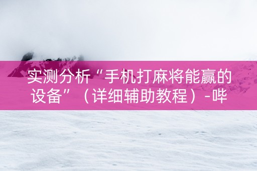 实测分析“手机打麻将能赢的设备”（详细辅助教程）-哔哩哔哩
