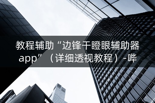 教程辅助“边锋干瞪眼辅助器app”（详细透视教程）-哔哩哔哩