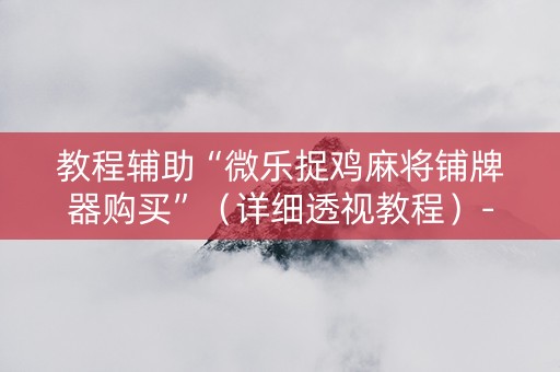 教程辅助“微乐捉鸡麻将铺牌器购买”（详细透视教程）-哔哩哔哩