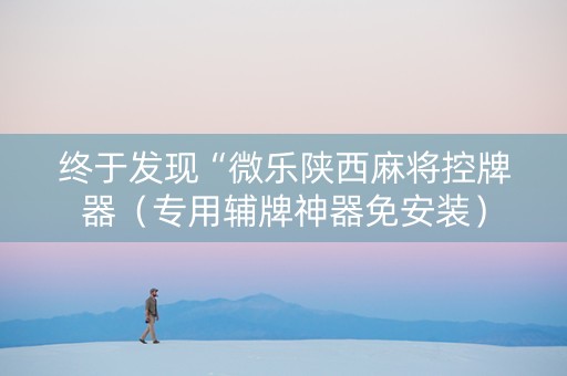 终于发现“微乐陕西麻将控牌器（专用辅牌神器免安装）