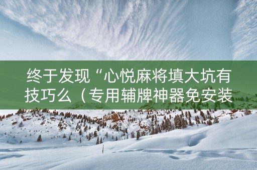 终于发现“心悦麻将填大坑有技巧么（专用辅牌神器免安装）