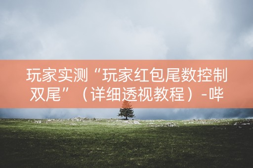 玩家实测“玩家红包尾数控制双尾”（详细透视教程）-哔哩哔哩