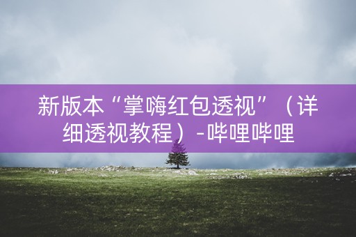 新版本“掌嗨红包透视”（详细透视教程）-哔哩哔哩