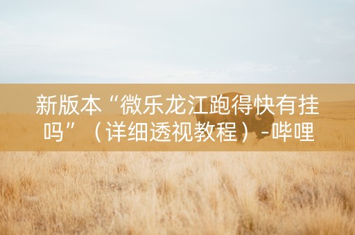 新版本“微乐龙江跑得快有挂吗”（详细透视教程）-哔哩哔哩