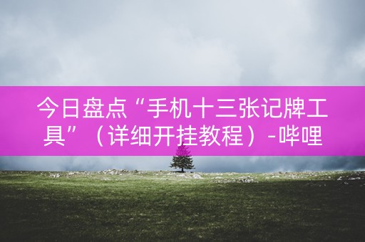 今日盘点“手机十三张记牌工具”（详细开挂教程）-哔哩哔哩